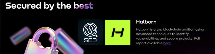 Secured by the best — Halborn